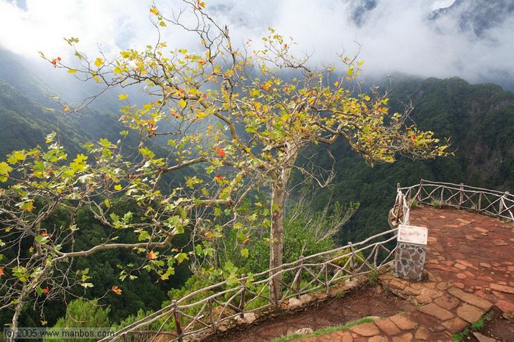 Mirador de Balcoes
Madeira