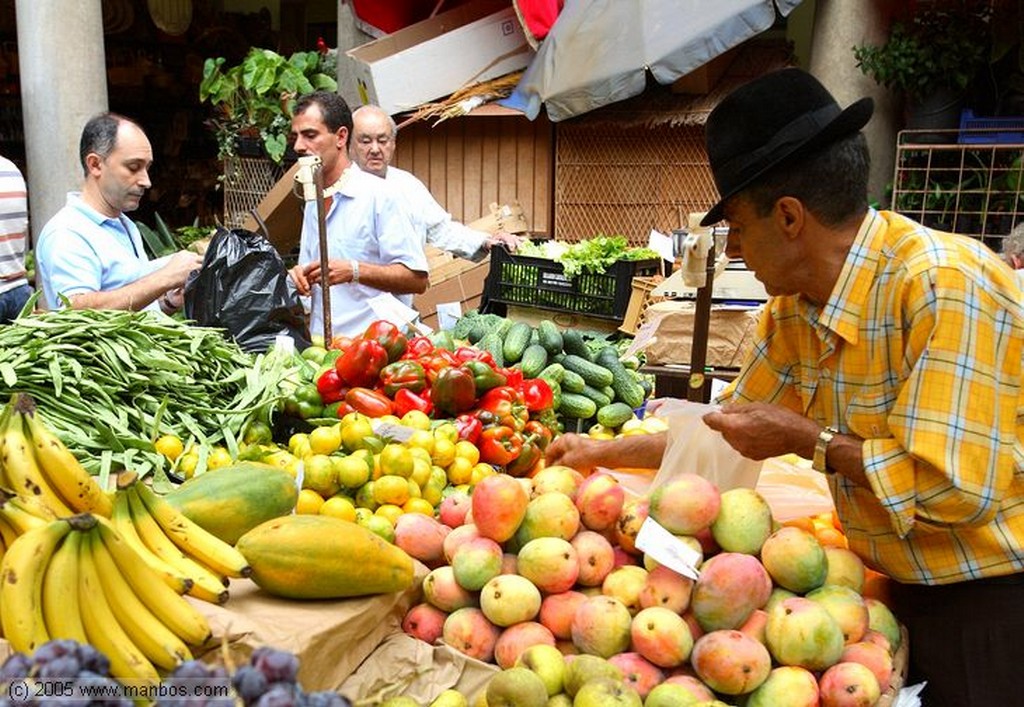 Funchal
Vendedor de fruta
Madeira