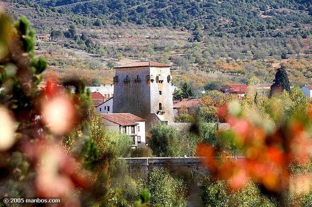 Covarrubias
Torre de Covarrubias
Burgos