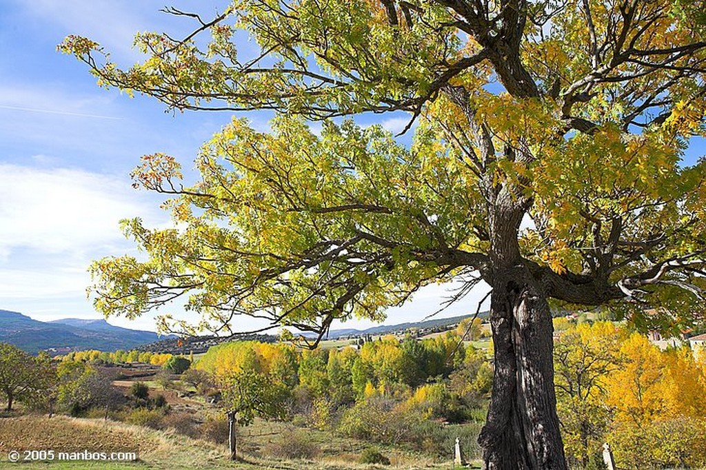 Sierra de Urbasa
Navarra