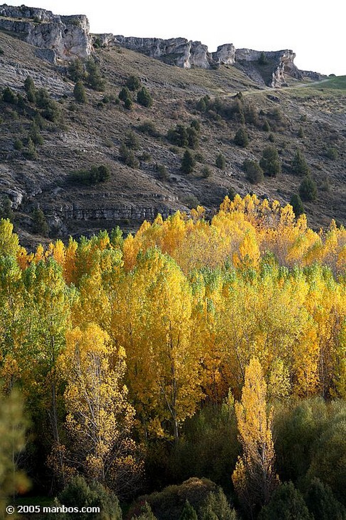 Parque Natural del Rio Lobos
Parque Natural del Cañón del Río Lobos
Soria