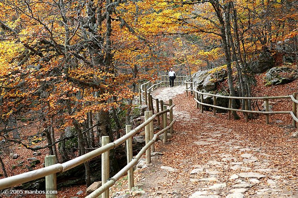 La Laguna Negra
Mirador de la Laguna Negra
Soria