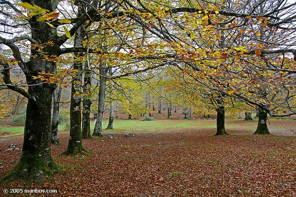 Sierra de Urbasa
Navarra