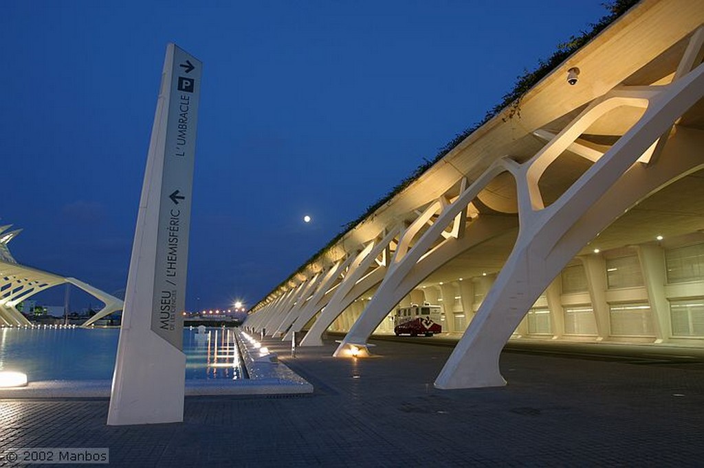 Ciudad de las Artes y las Ciencias
Paseando bajo el agua
Valencia