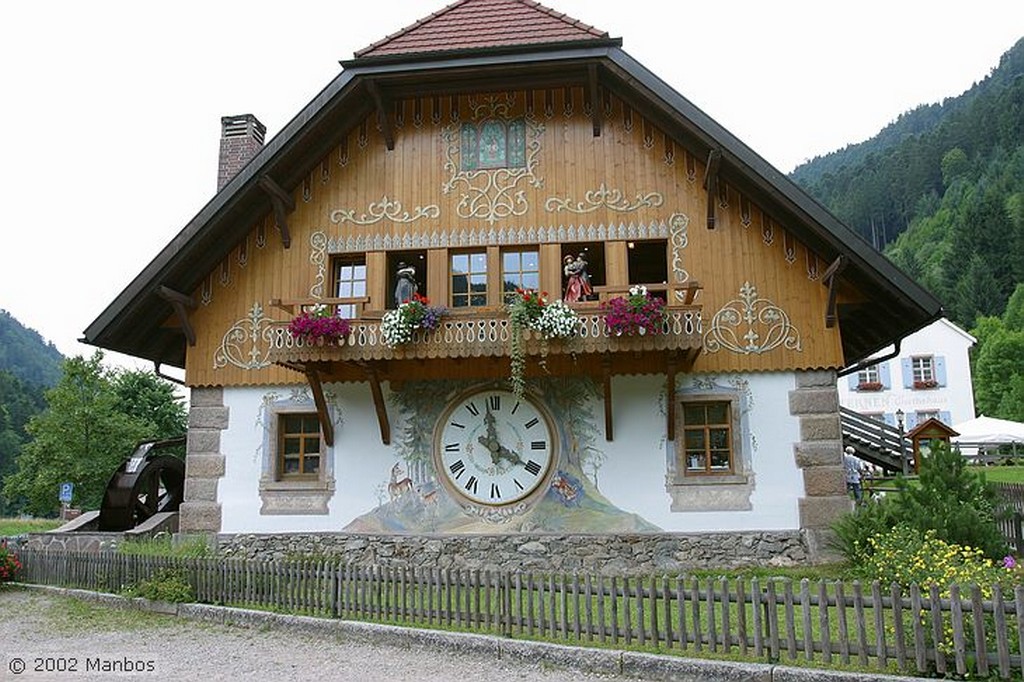 Friburgo
Catedral
Alemania