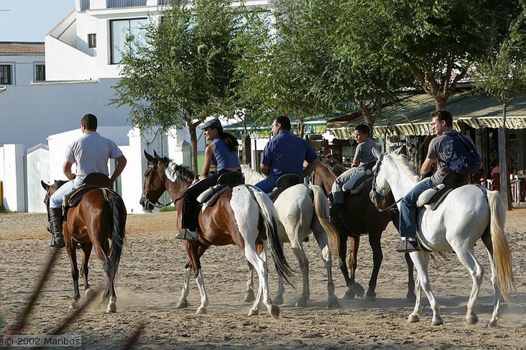 El Rocio
Caballos en El Rocío
Huelva