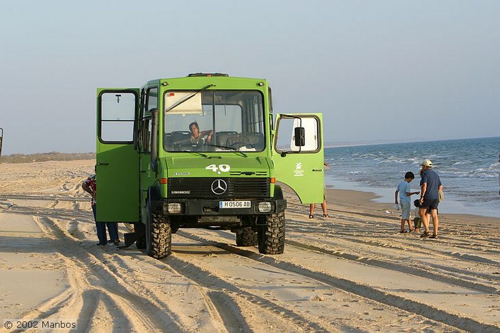 Doñana
Huelva