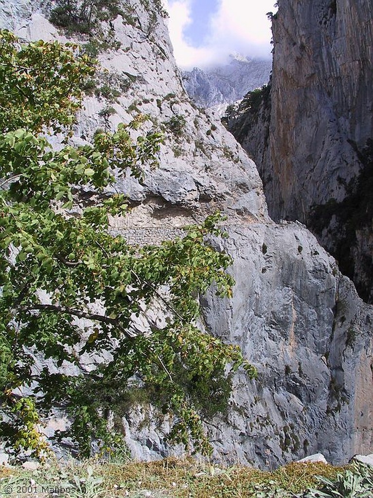 Desfiladero del Cares
León