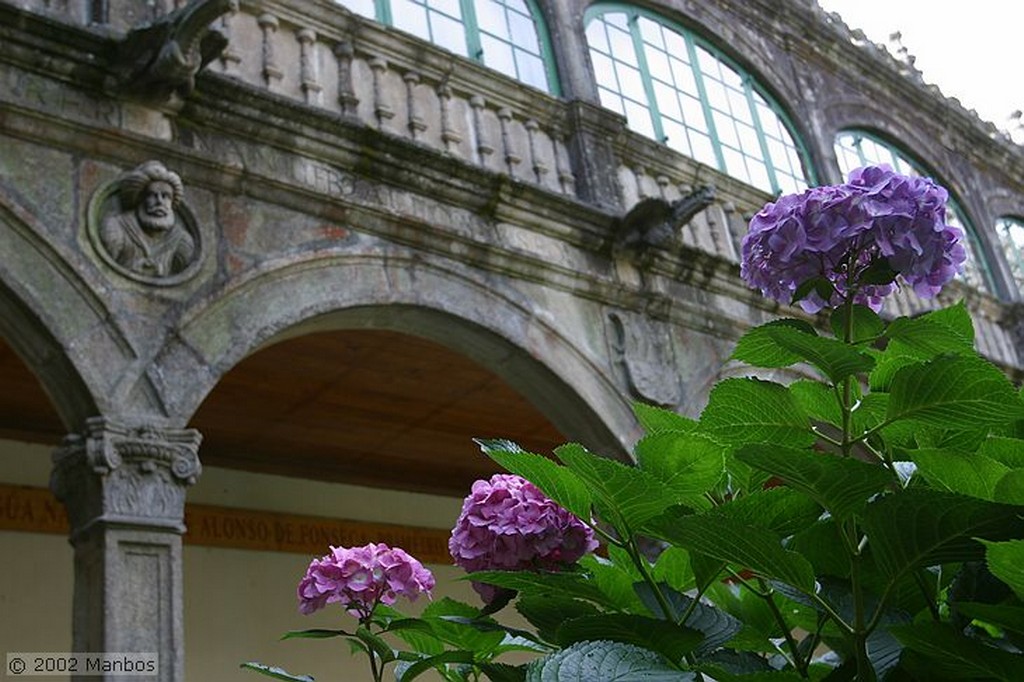 Santiago de Compostela
Claustro
Galicia