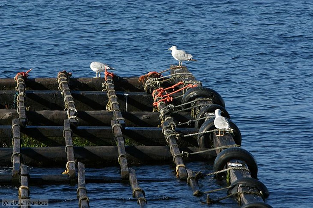 Isla de Sálvora
Galicia