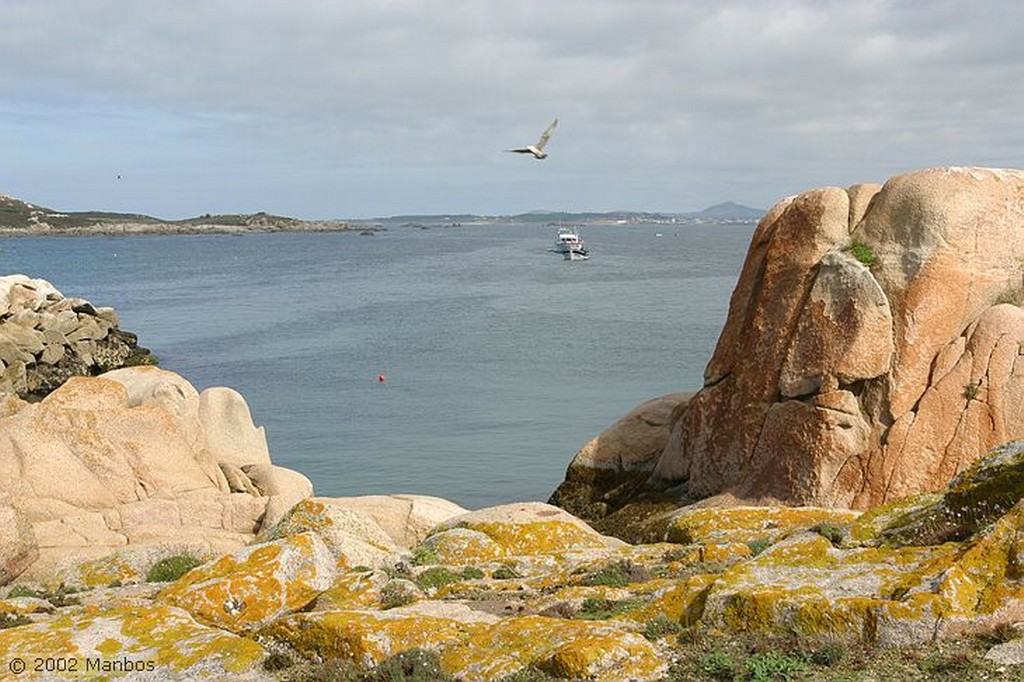 Isla de Sálvora
Galicia