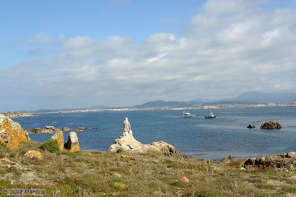 Isla de Sálvora
Chumbera
Galicia