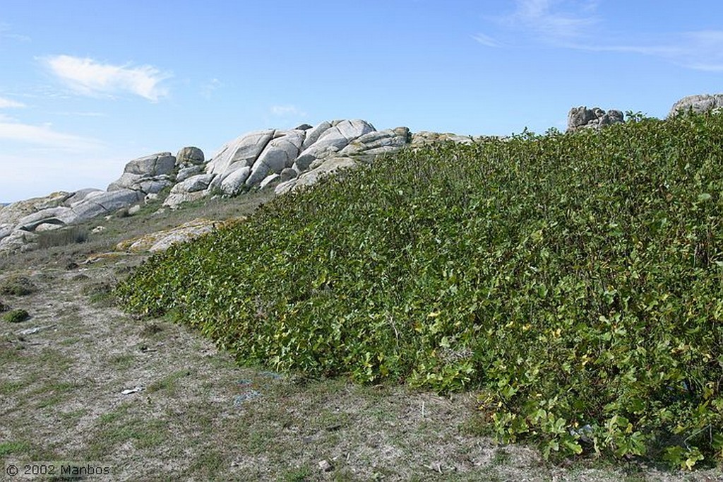 Isla de Sálvora
Galicia