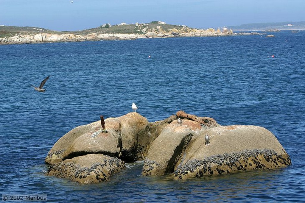 Isla de Sálvora
Galicia