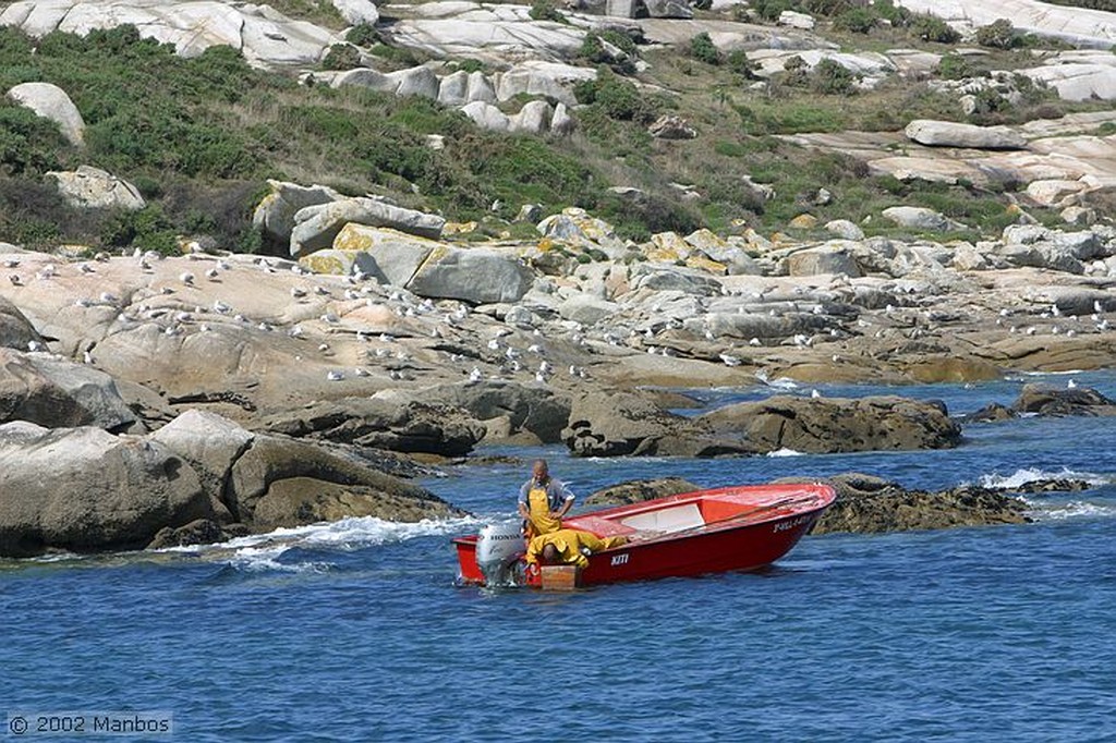 Isla de Ons
Isla de Ons
Galicia