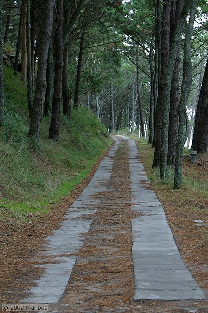 Isla de Monteagudo
Galicia