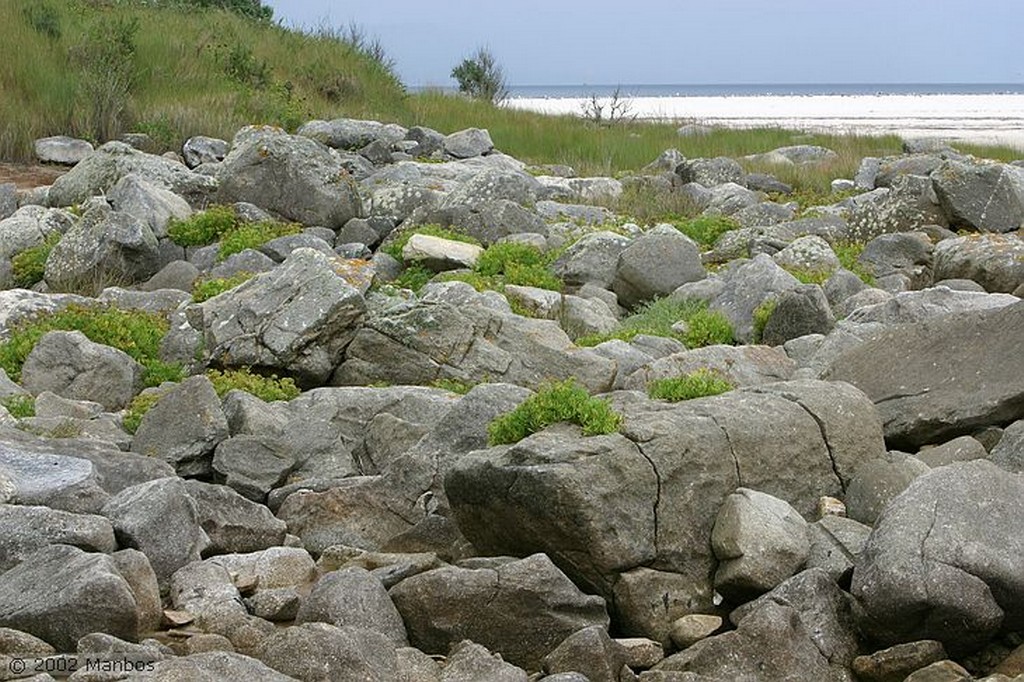 Isla de Faro
Galicia