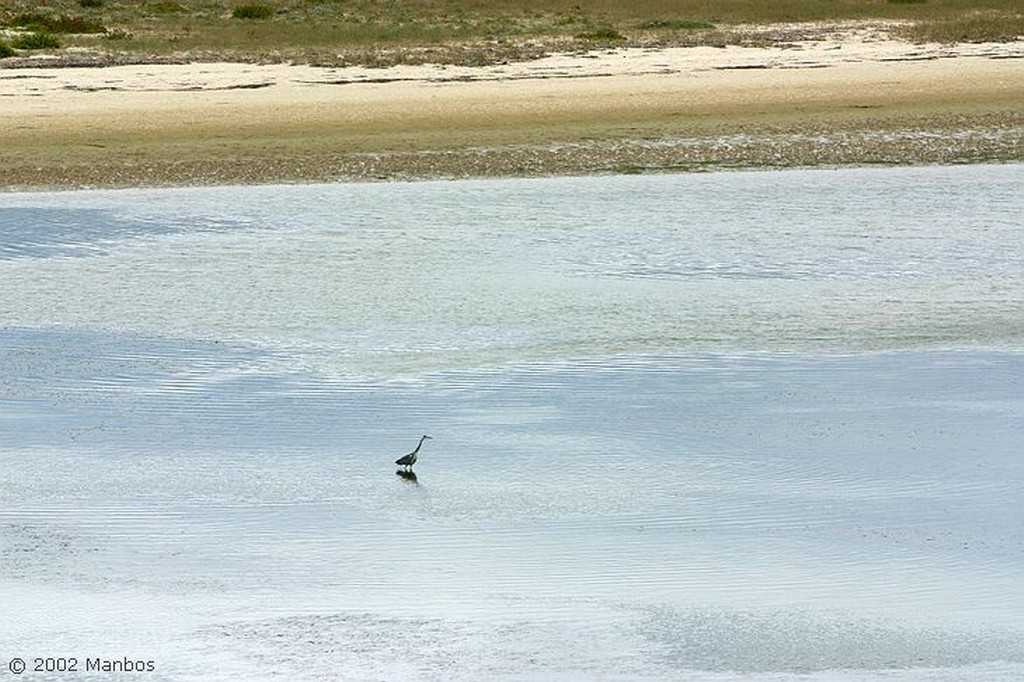 Isla de Faro
Camino del faro
Galicia