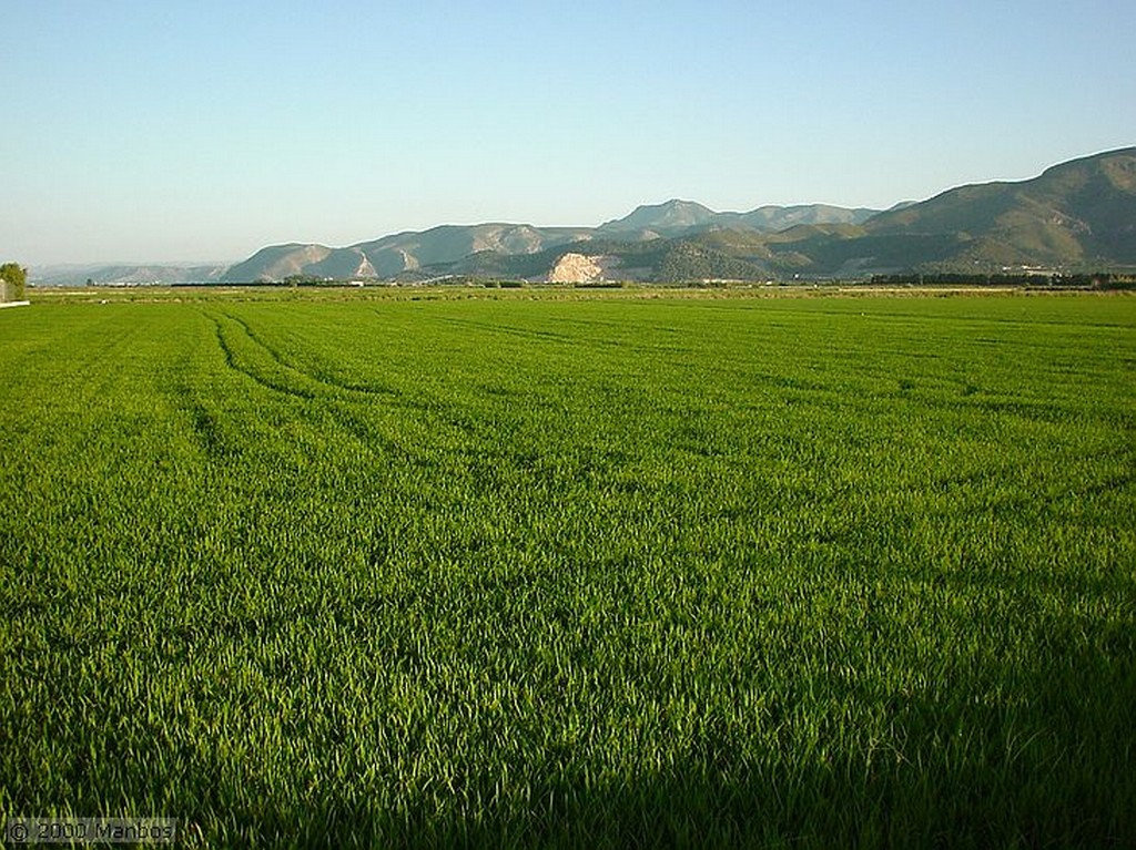 El Brosquil
Paseo por los arrozales
Valencia