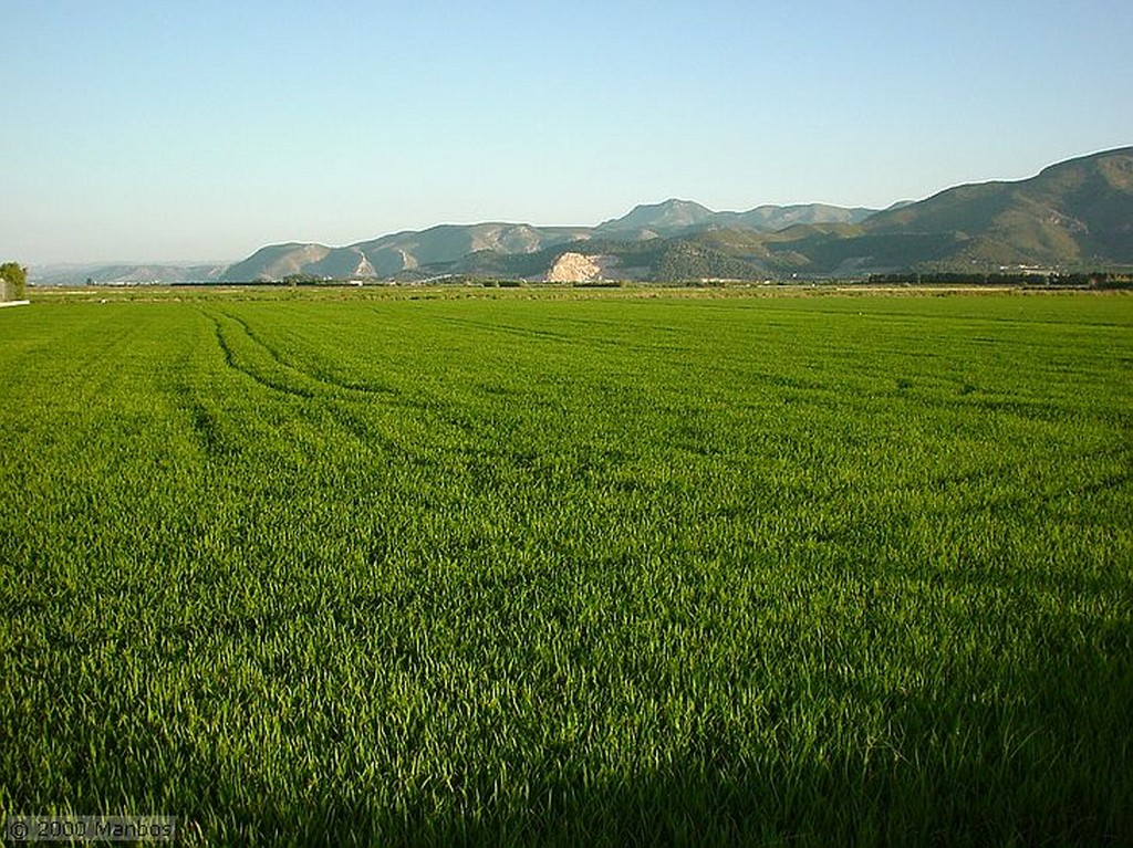 El Brosquil
Paseo por los arrozales
Valencia