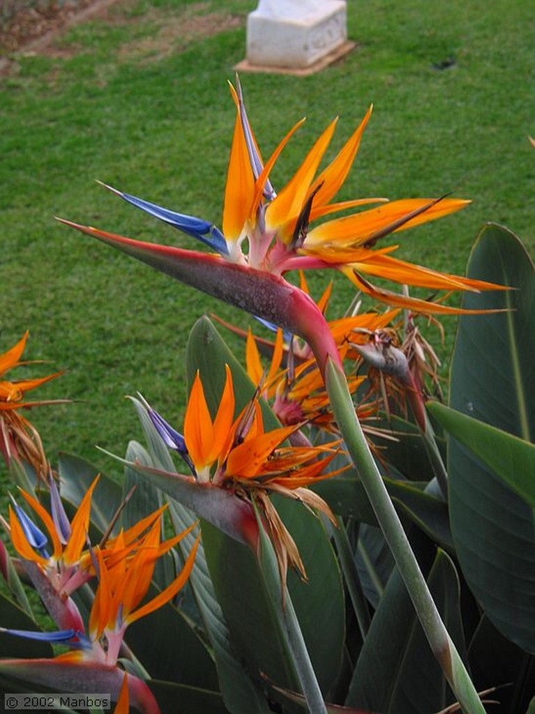 Tenerife
Canarias