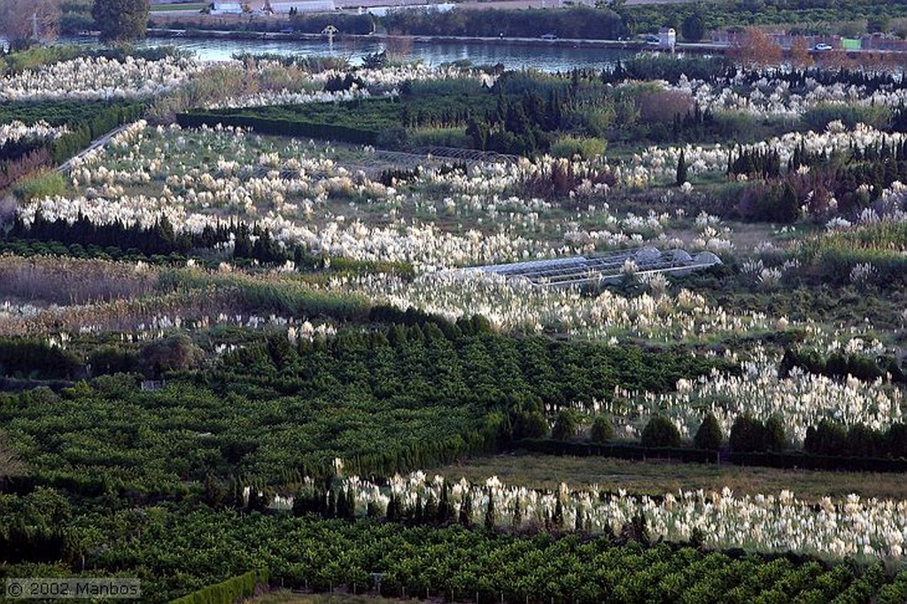 Cullera
Huertas floridas
Valencia