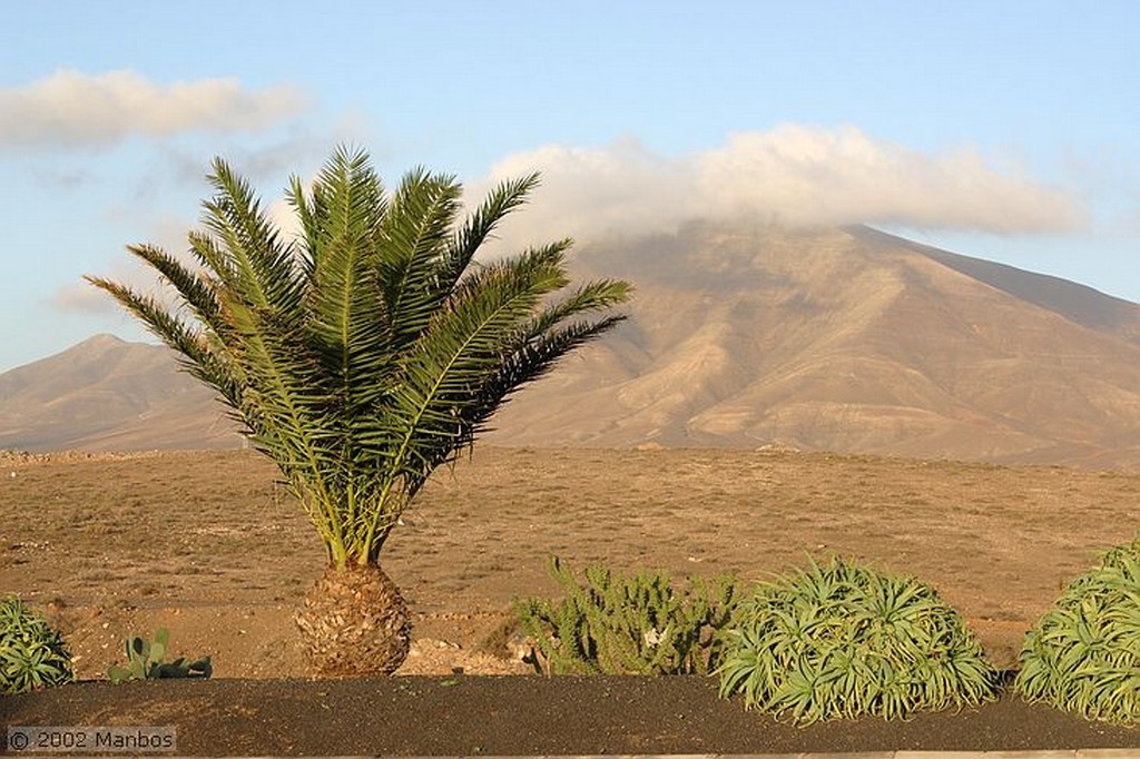 Lanzarote
Parque Nacional Timanfaya
Canarias