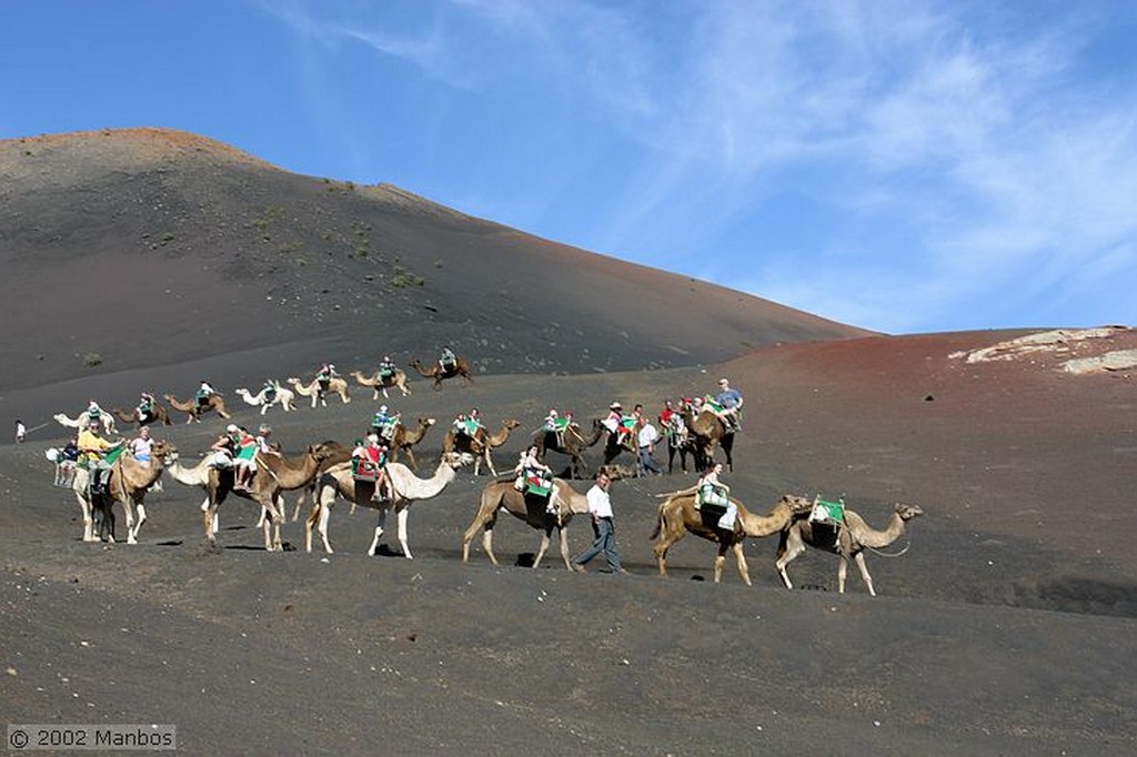 Lanzarote
Parque Nacional Timanfaya - Montaña de Fuego
Canarias