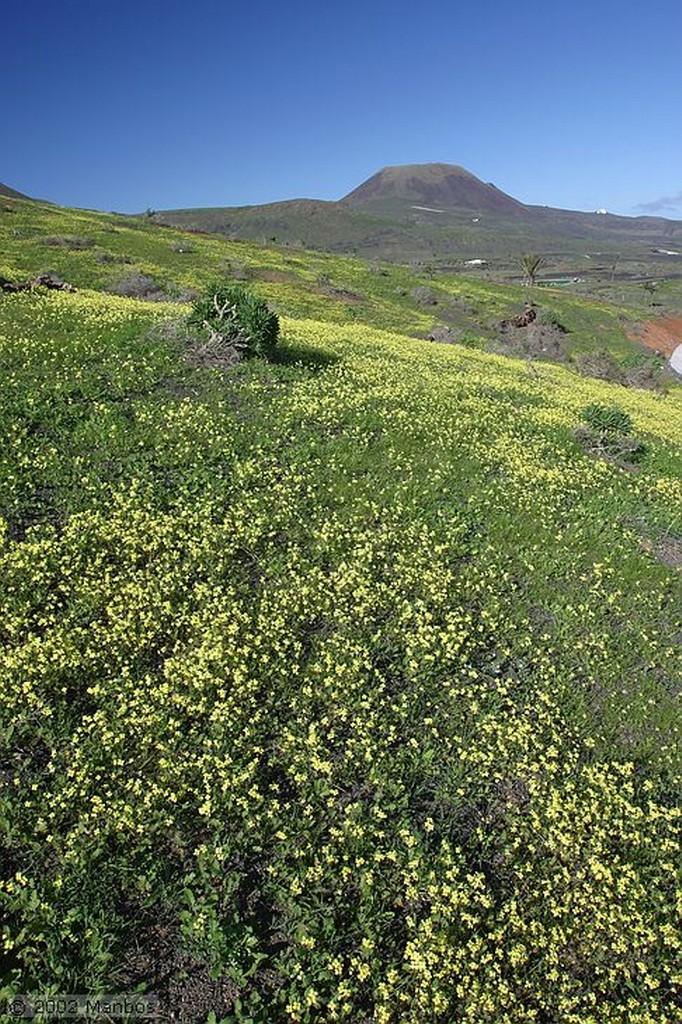 Lanzarote
Canarias