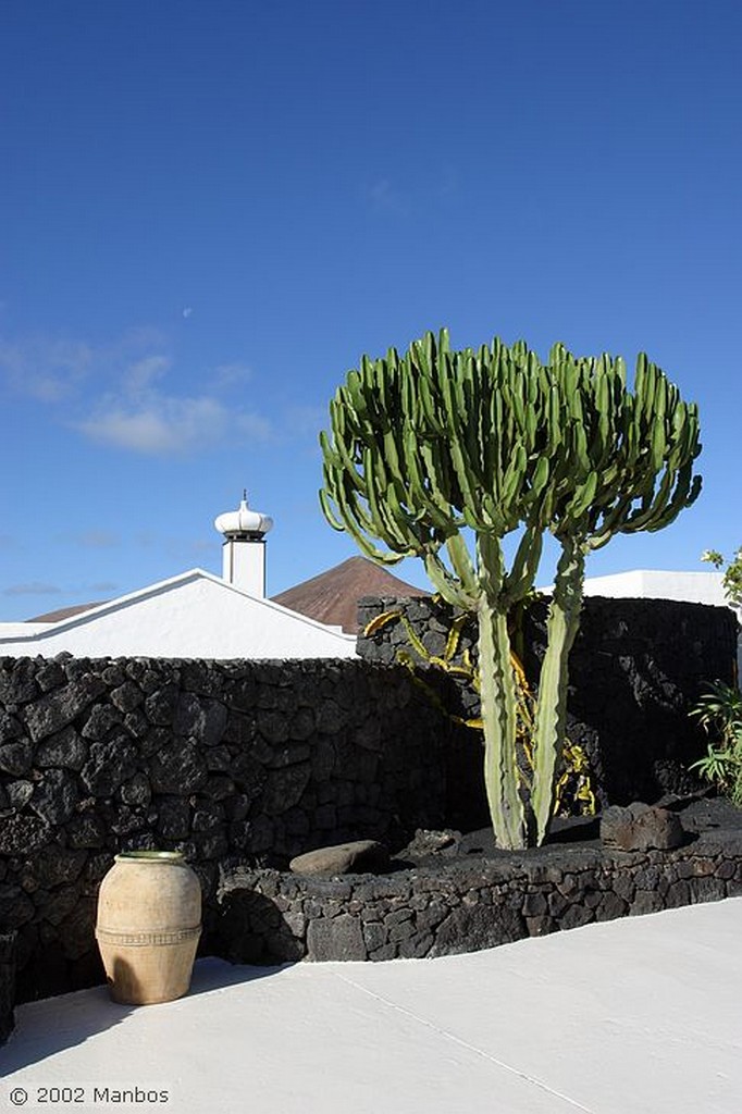 Lanzarote
Fundación César Manrique
Canarias