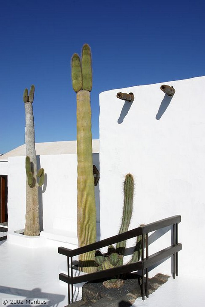 Lanzarote
Fundación César Manrique
Canarias