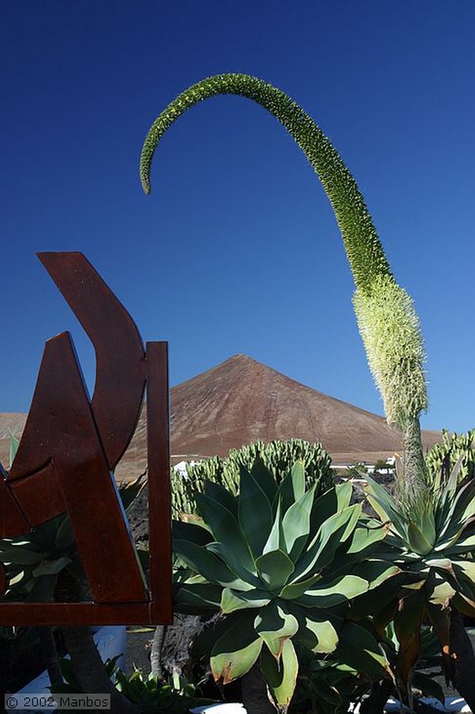 Lanzarote
Jardín de Cactus
Canarias