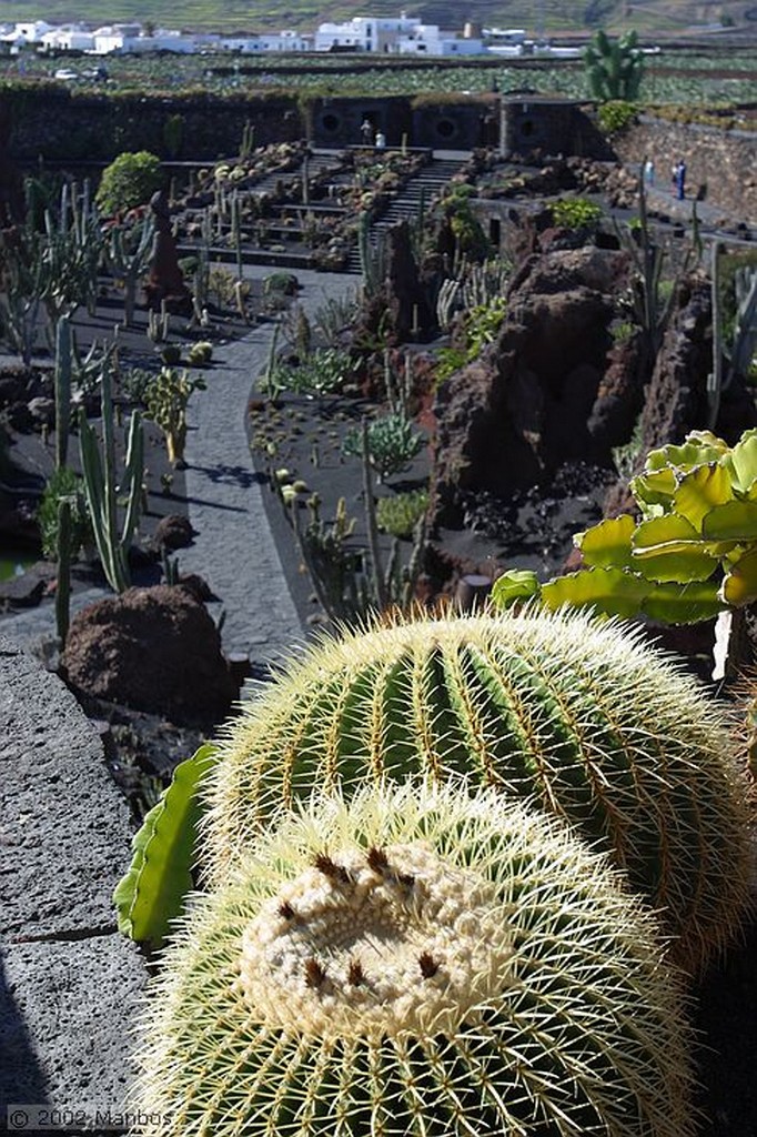 Lanzarote
Jardín de Cactus
Canarias