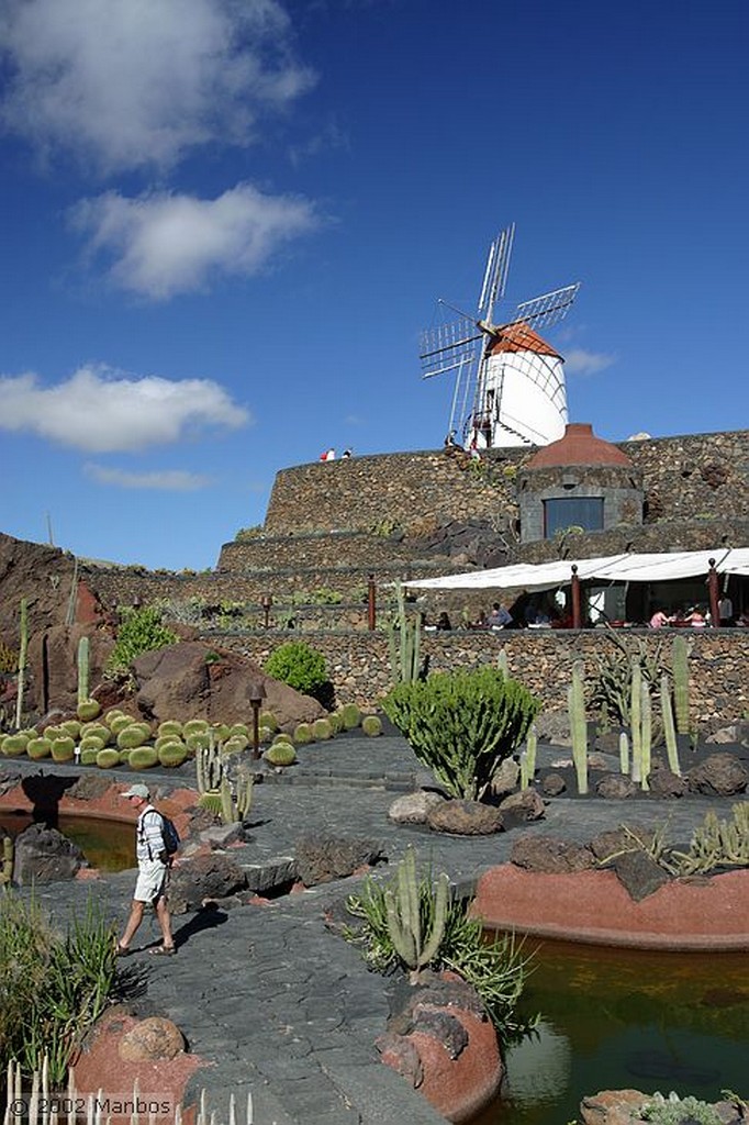 Lanzarote
Jardín de Cactus
Canarias