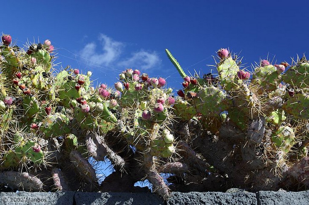 Lanzarote
Puerto Calero
Canarias