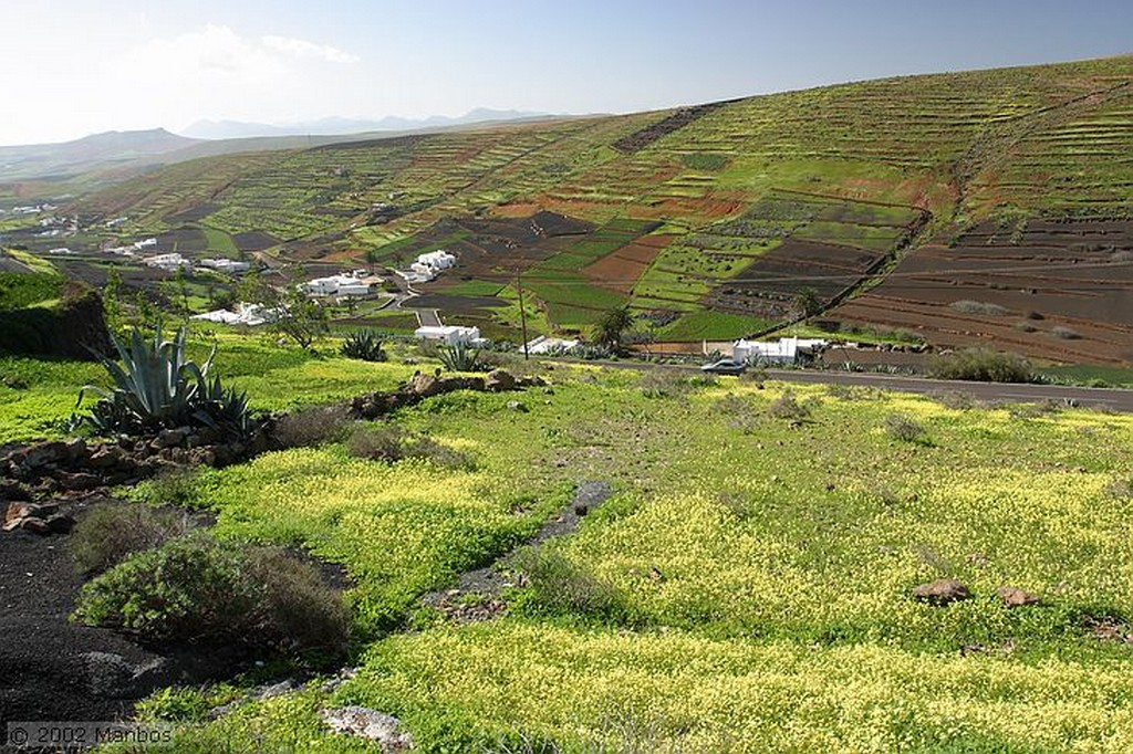 Lanzarote
Mirador de Haría
Canarias