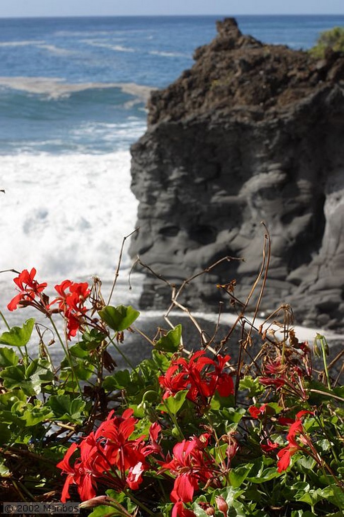 La Palma
Camino del Roque de los Muchachos
Canarias