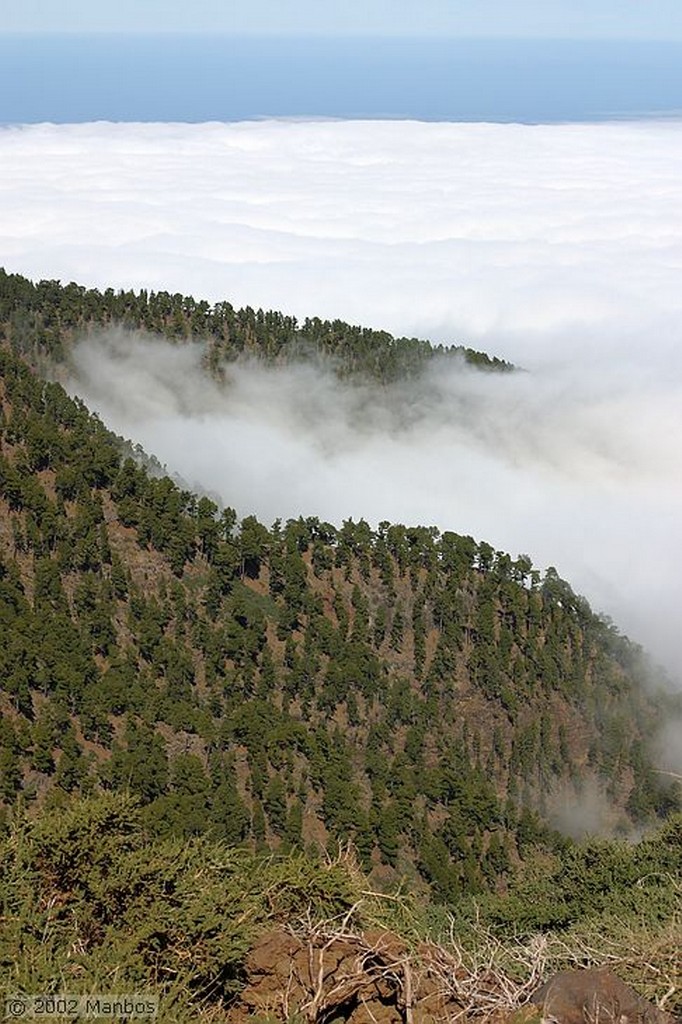 La Palma
El Teide desde el Roque de los Muchachos
Canarias