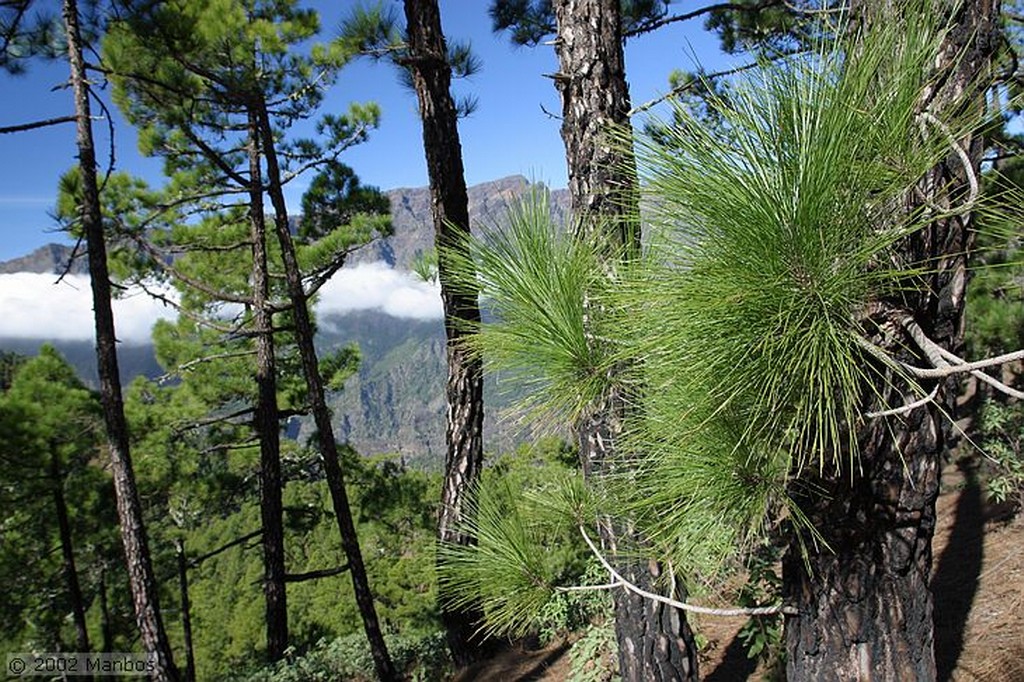 La Palma
Caldera de Taburiente - La Cumbrecita
Canarias