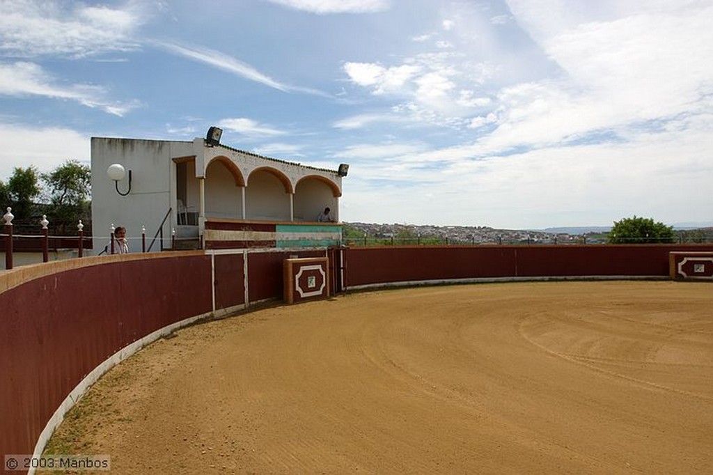 Finca El Vadillo
Olivos de la finca
Jaén