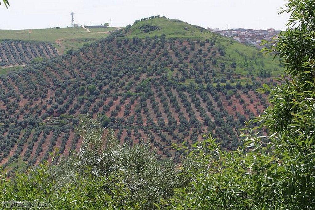 Finca El Vadillo
El caballo del picador
Jaén