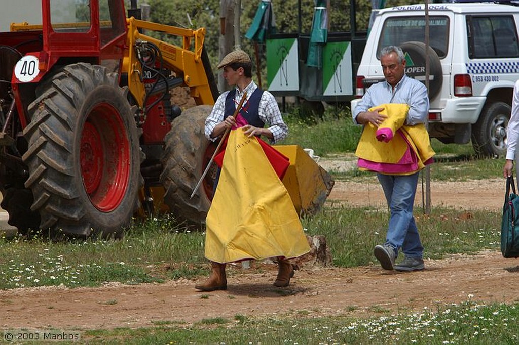 Finca El Vadillo
El mayoral
Jaén