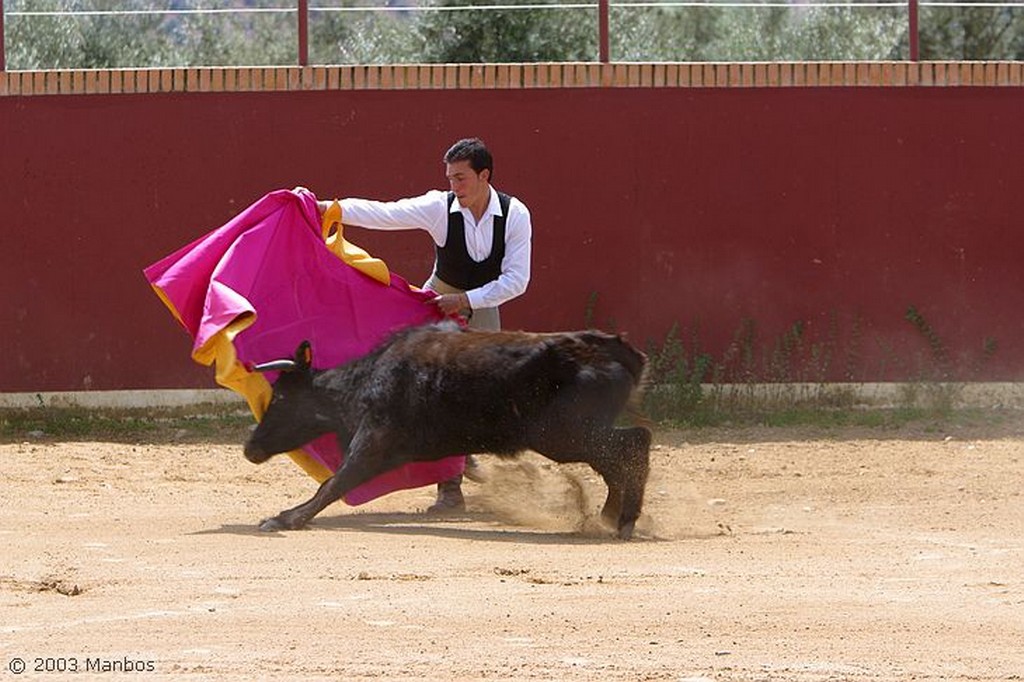 Finca El Vadillo
Jaén