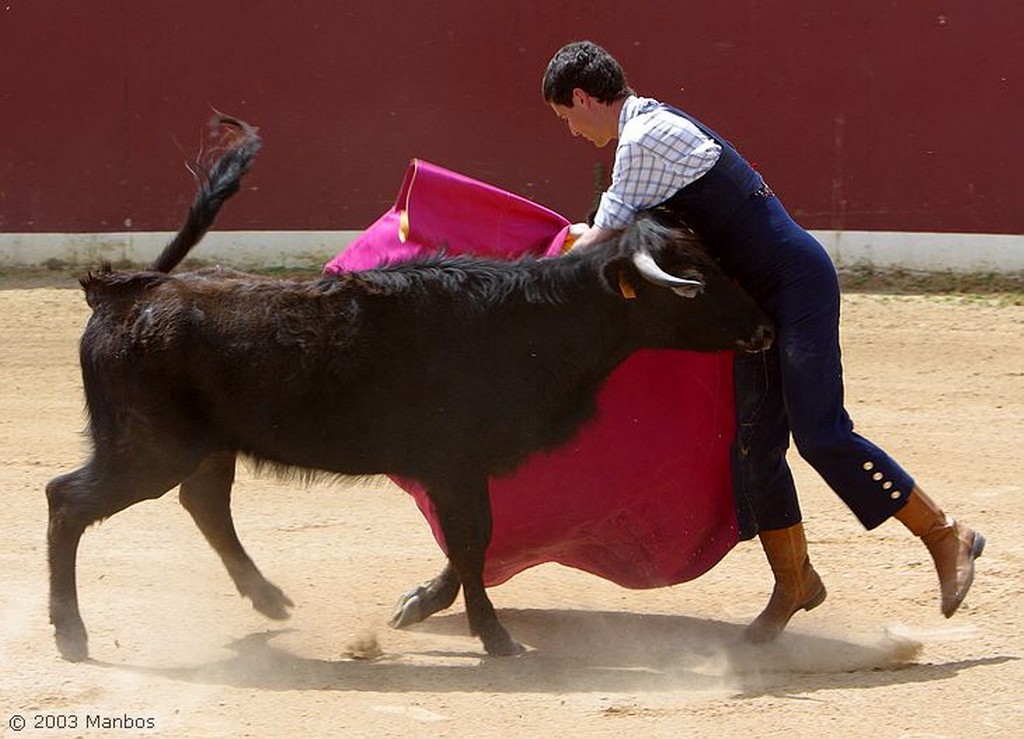 Finca El Vadillo
Estudiando al bicho
Jaén