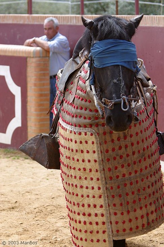 Finca El Vadillo
A reacción
Jaén