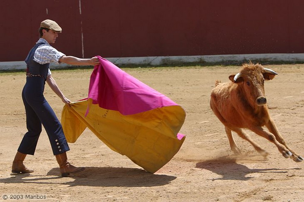 Finca El Vadillo
Jaén