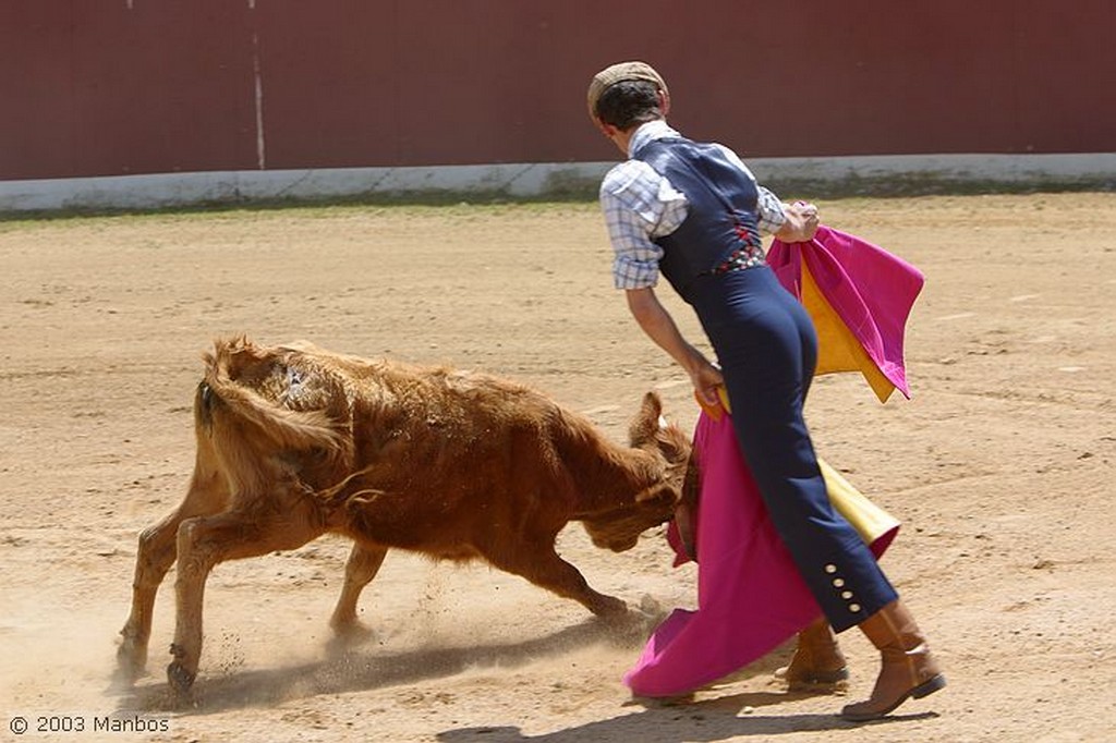 Finca El Vadillo
Jaén