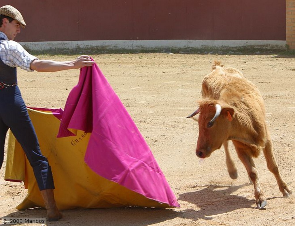 Finca El Vadillo
Jaén