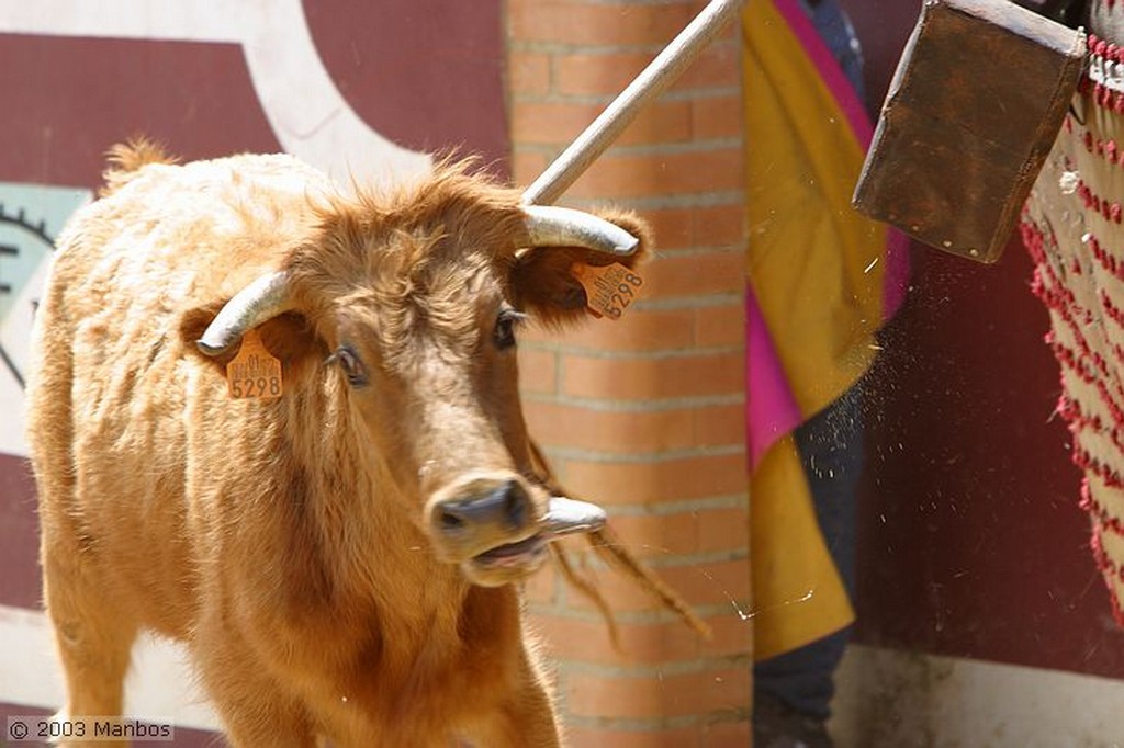 Finca El Vadillo
Jaén