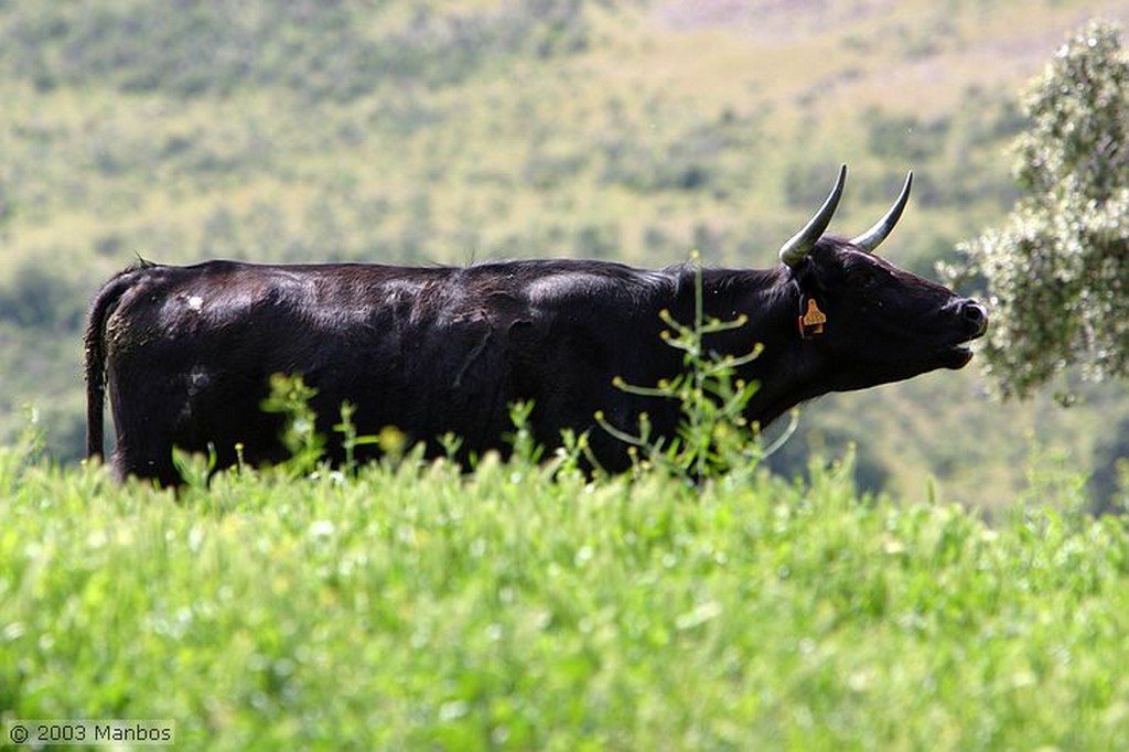 Finca El Vadillo
Jaén